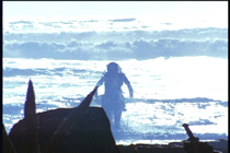 Xena film locations - Little Problems - Bethells Beach - To Helicon and Back